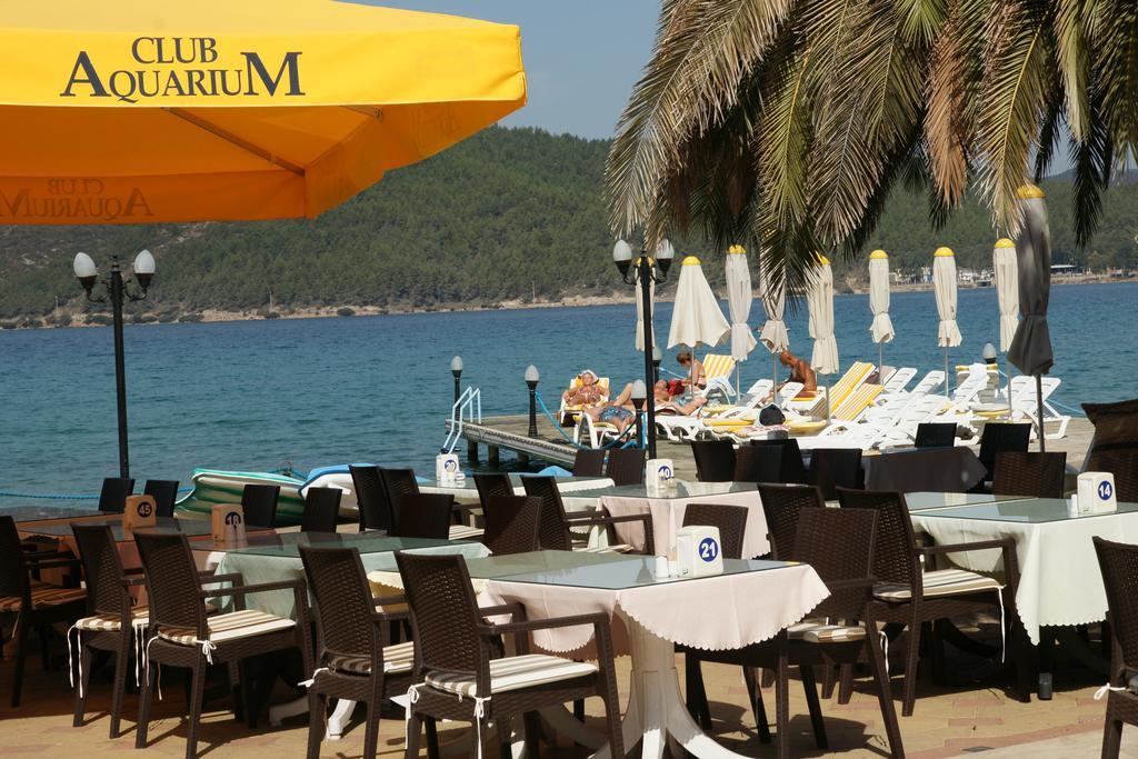 Club Aquarium &
