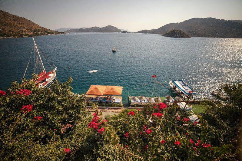 Dolphin Selimiye (Aegean)