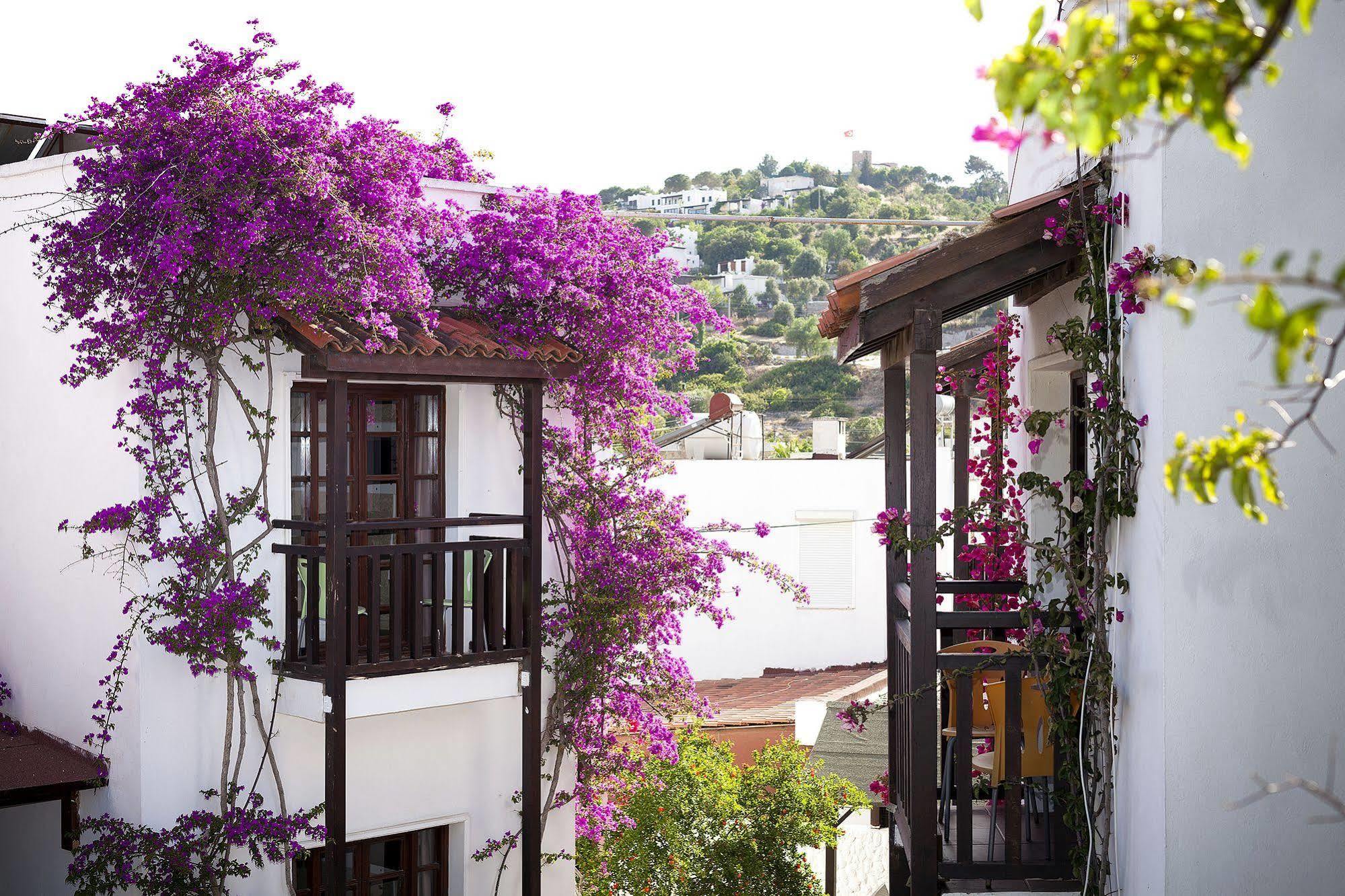 Orion Hotel 3*