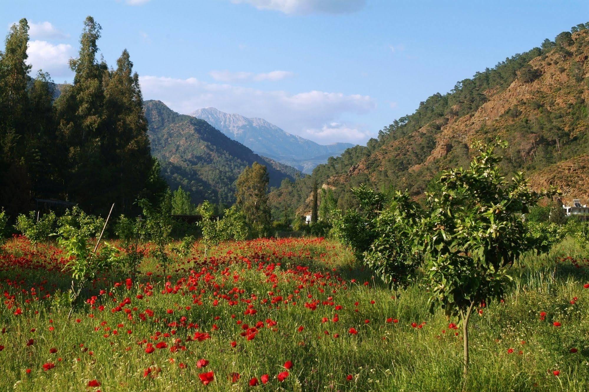 Farm stay Pastoral Vadi *