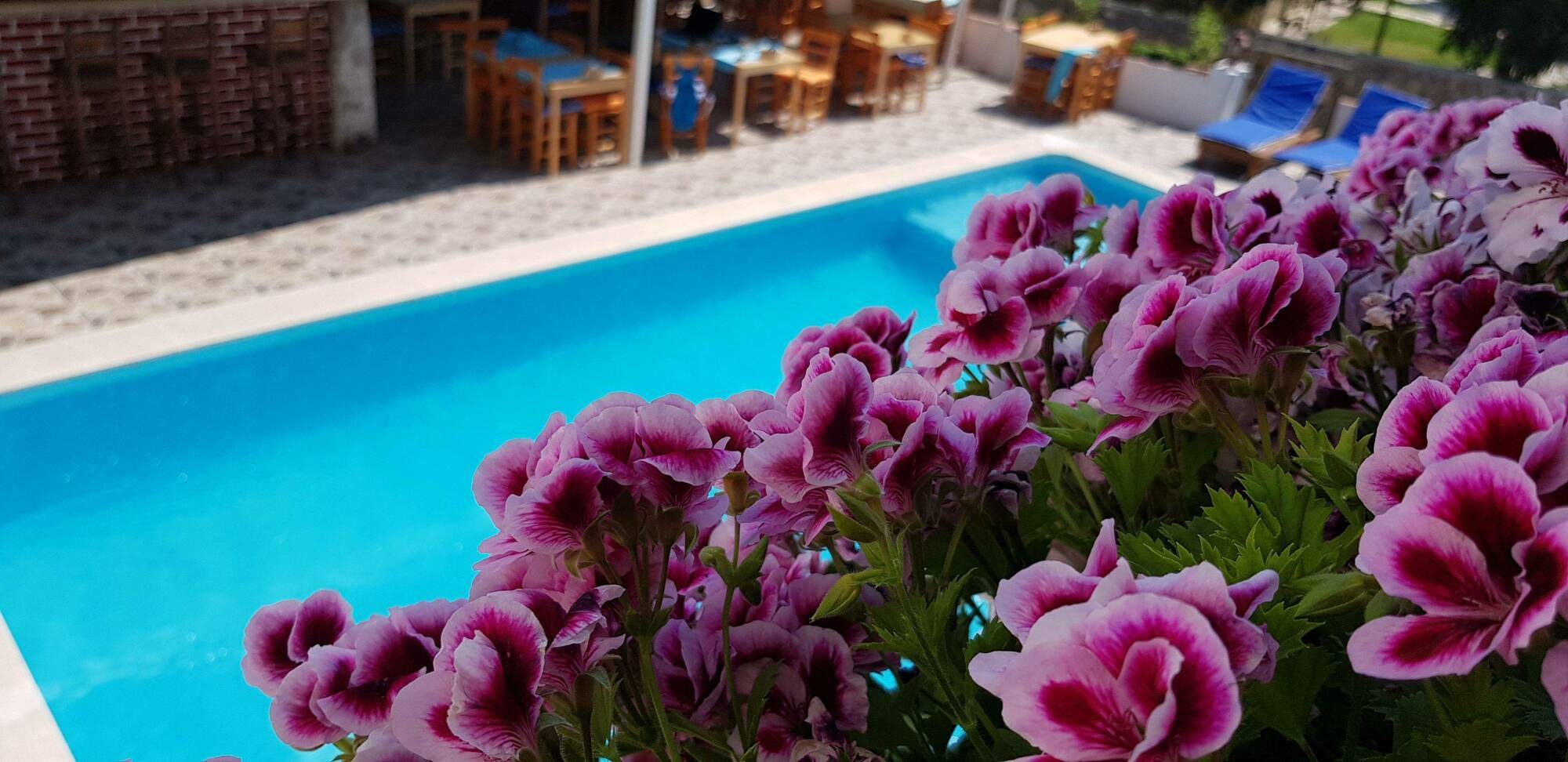 Hakan Apartment *