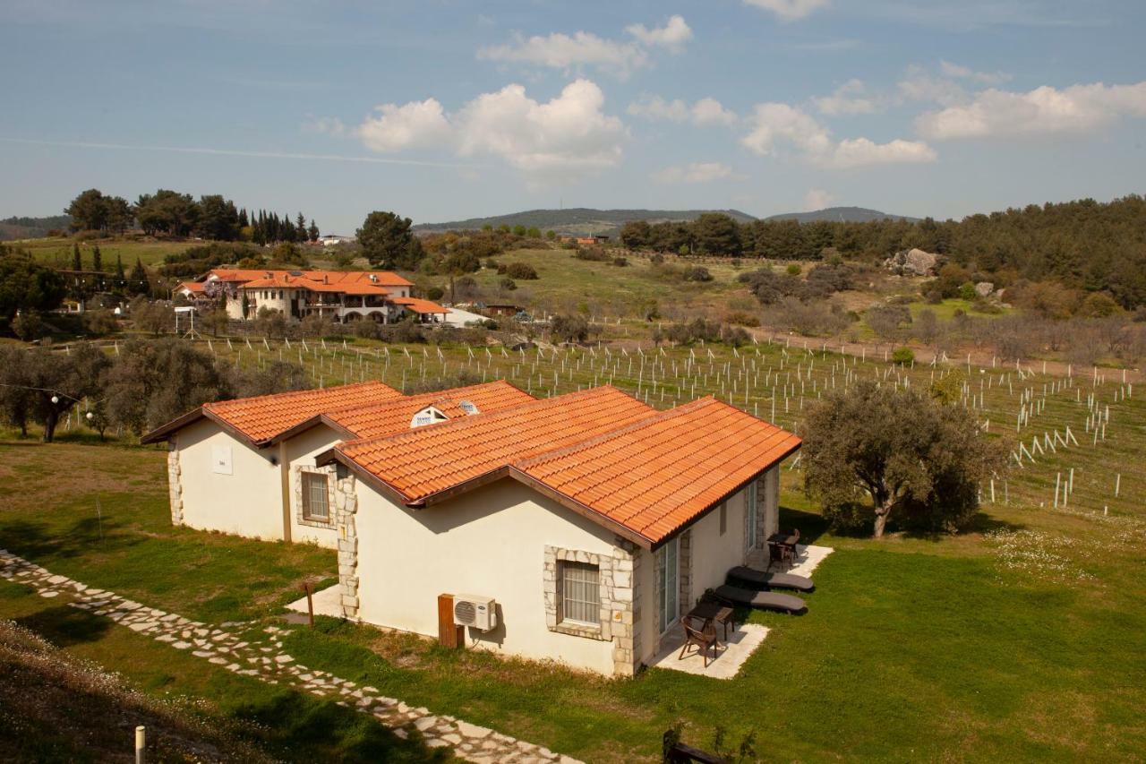 Vinifera Vineyards Guest house 3*