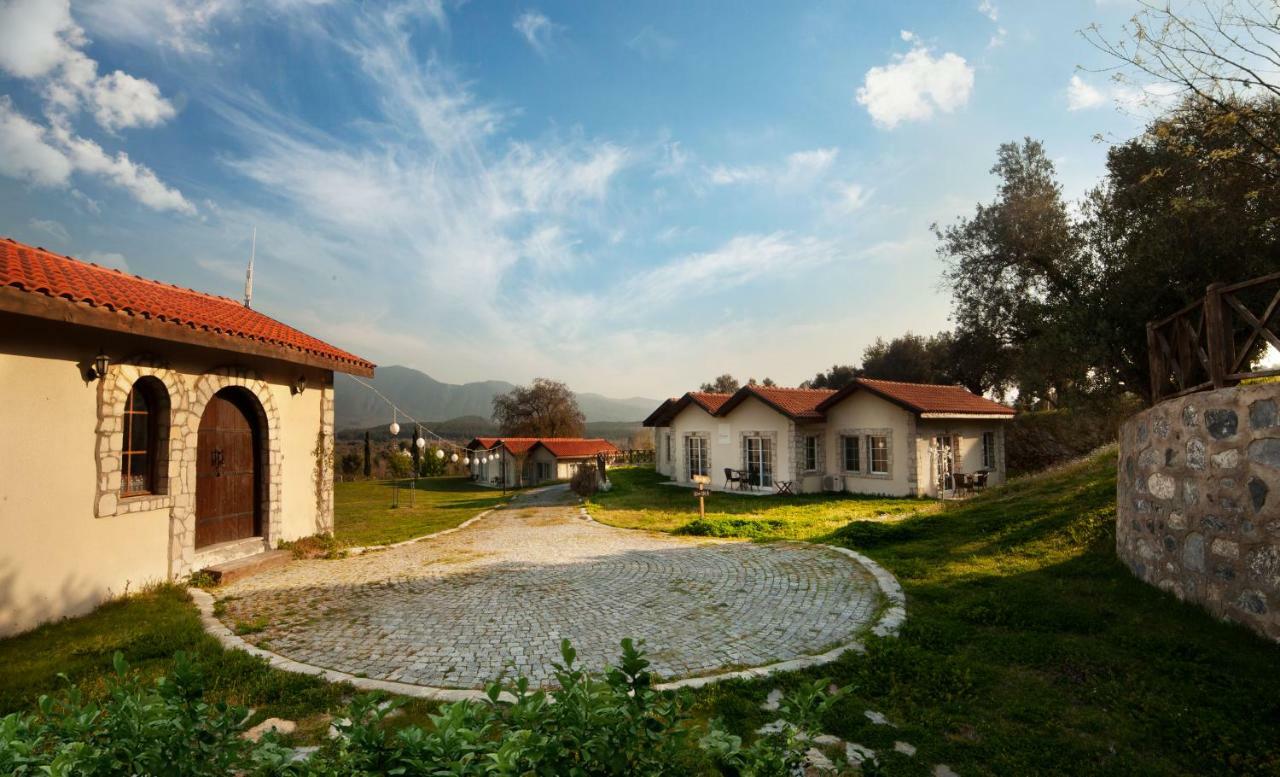 Vinifera Vineyards Guest house Selcuk