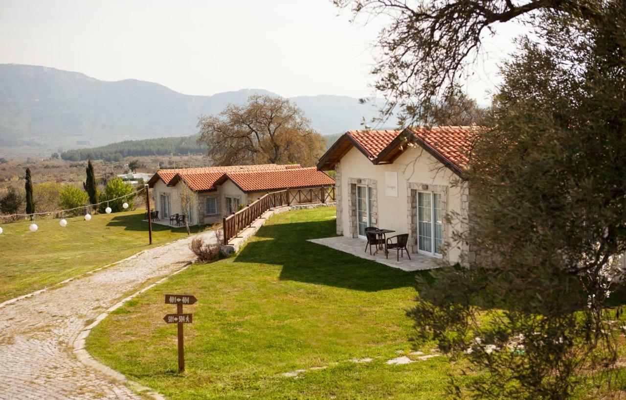 Guest house Vinifera Vineyards