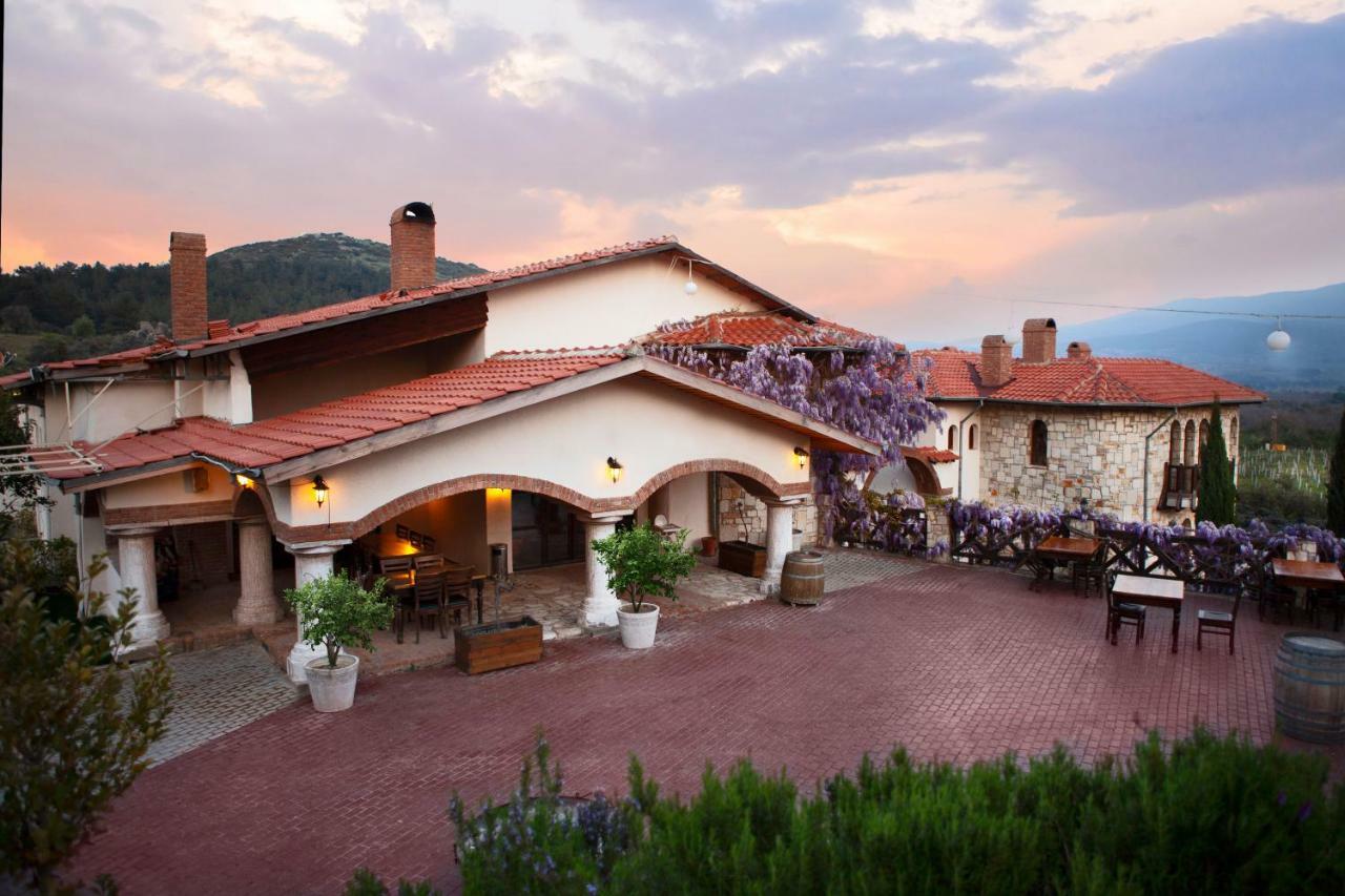 Vinifera Vineyards Selcuk