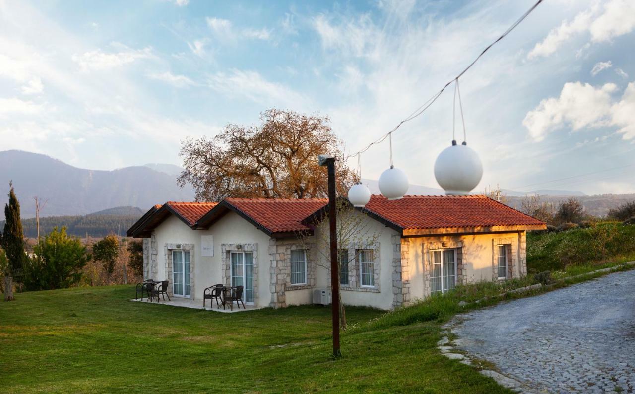 Vinifera Vineyards Guest house