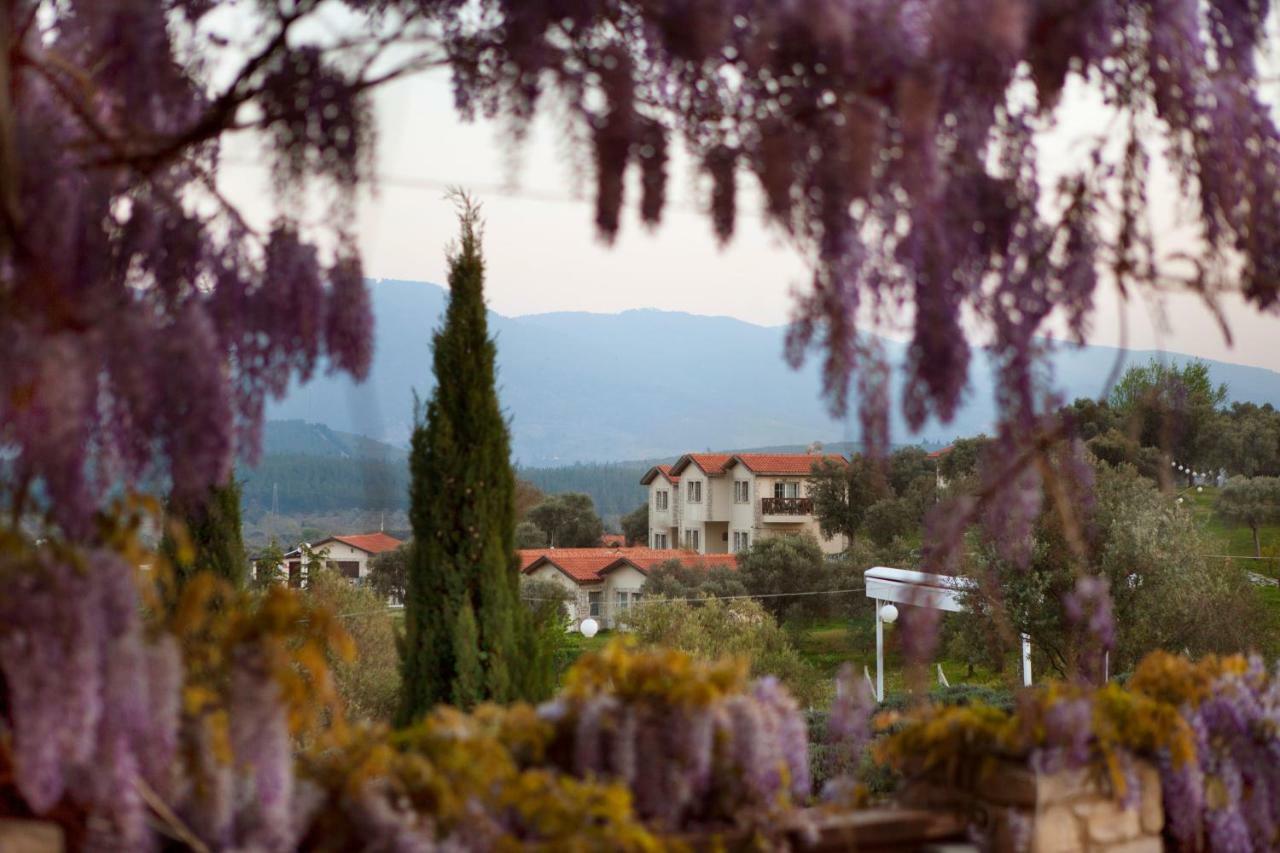 Vinifera Vineyards