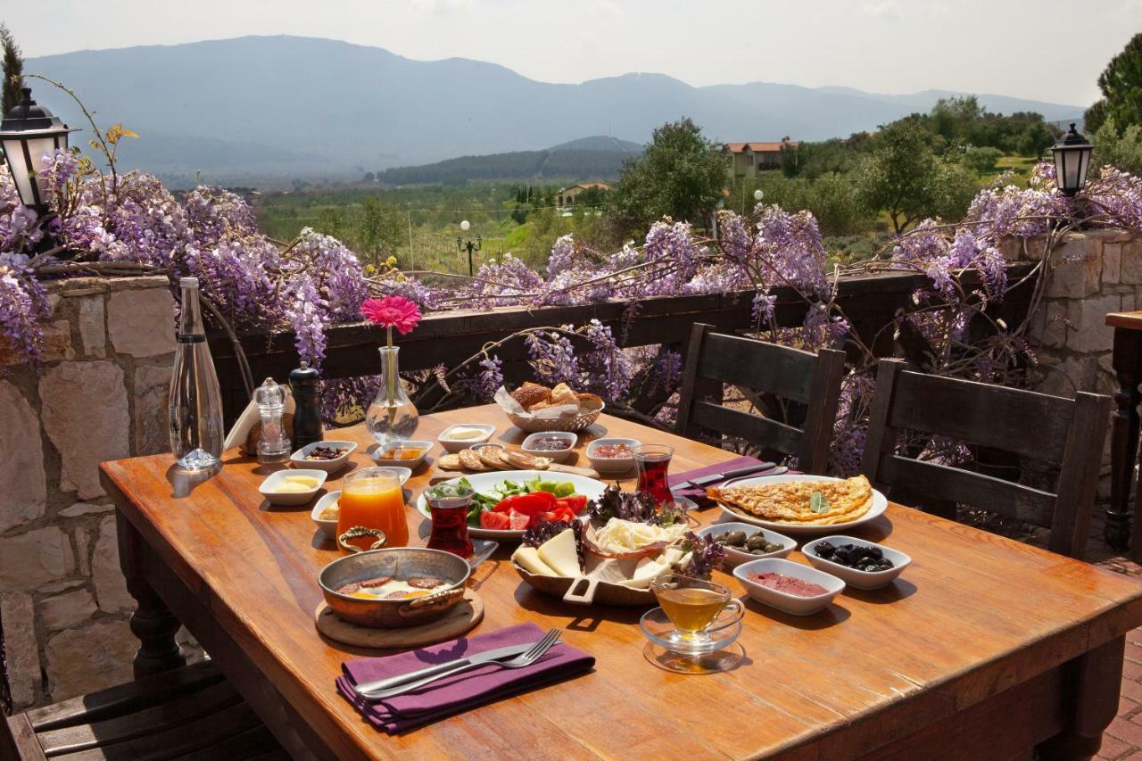 Vinifera Vineyards Guest house