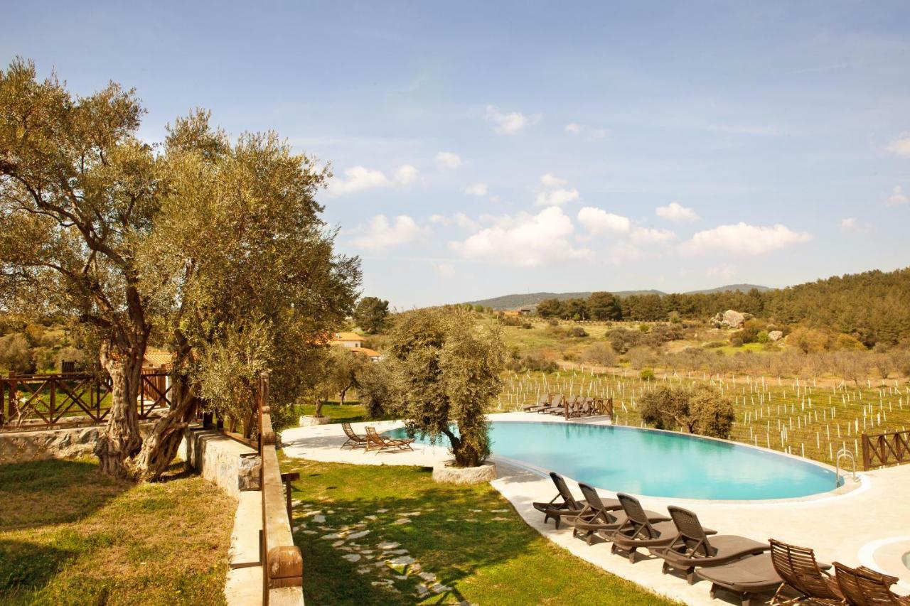 Guest house Vinifera Vineyards Selcuk