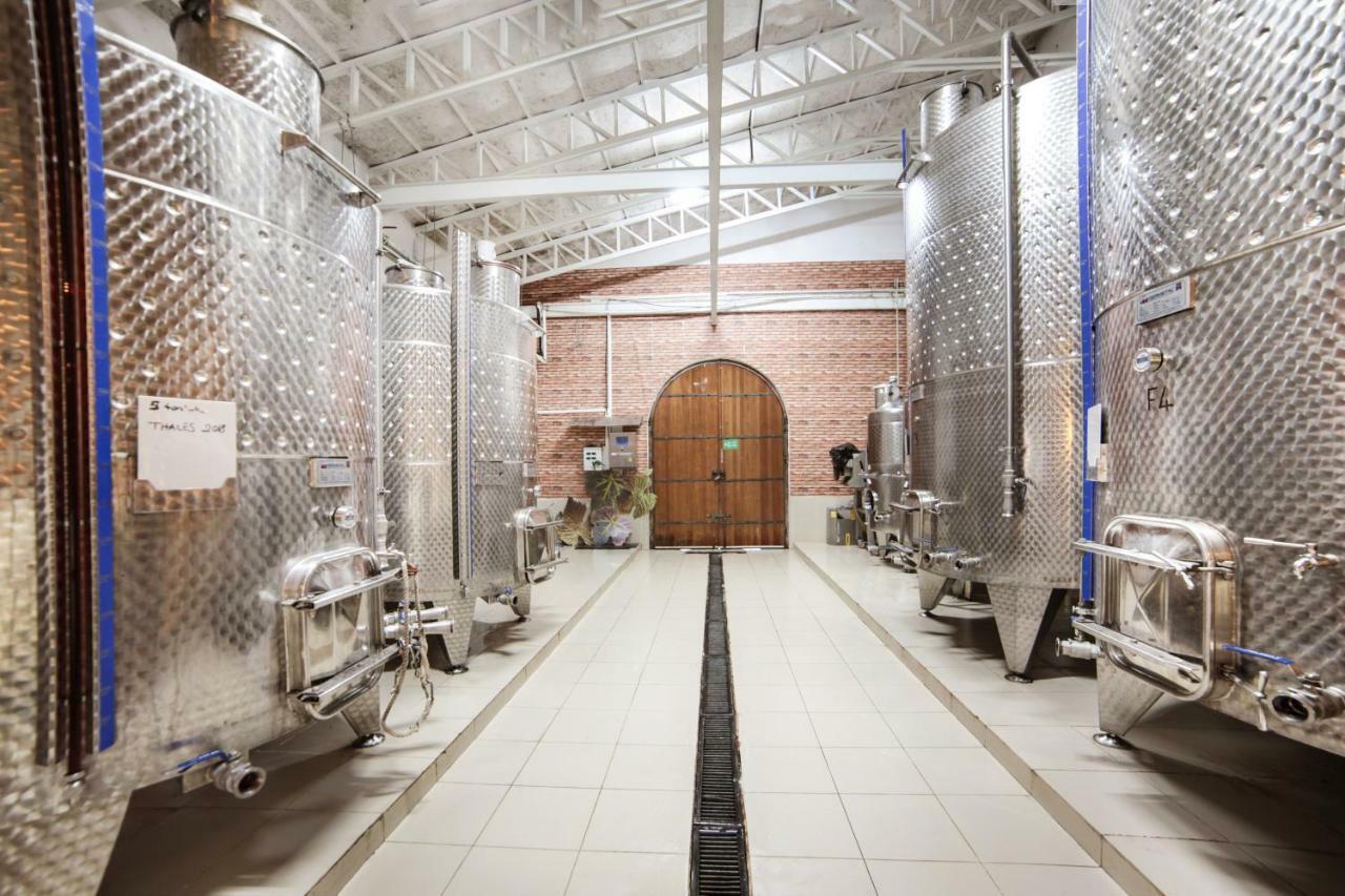 Vinifera Vineyards Guest house 3*