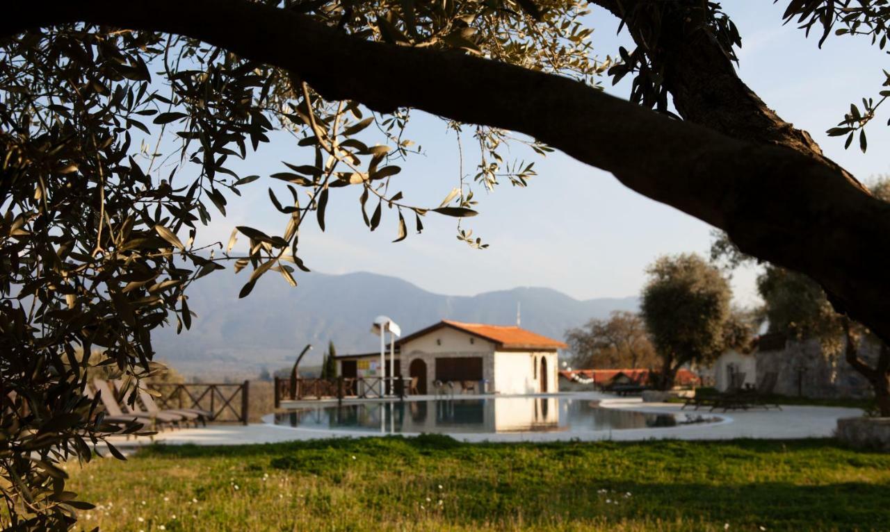 Vinifera Vineyards Guest house 3*