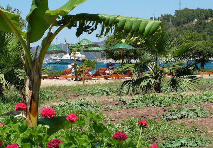 Baraka Hisaronu (adults Only) Hotel 3*