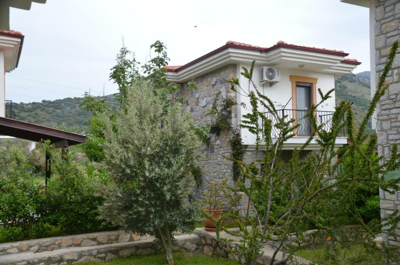 Mercan