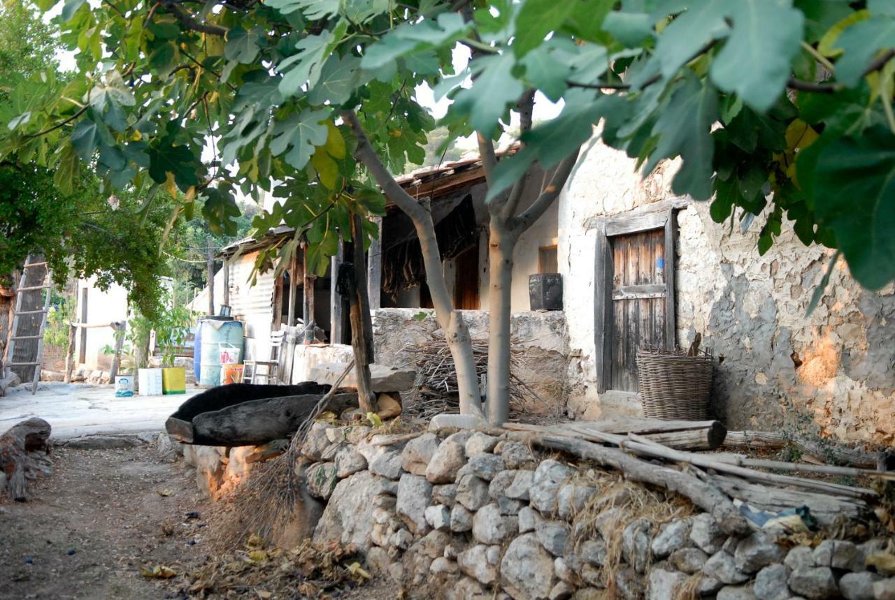Guest house Exclusive Boutique Faralya