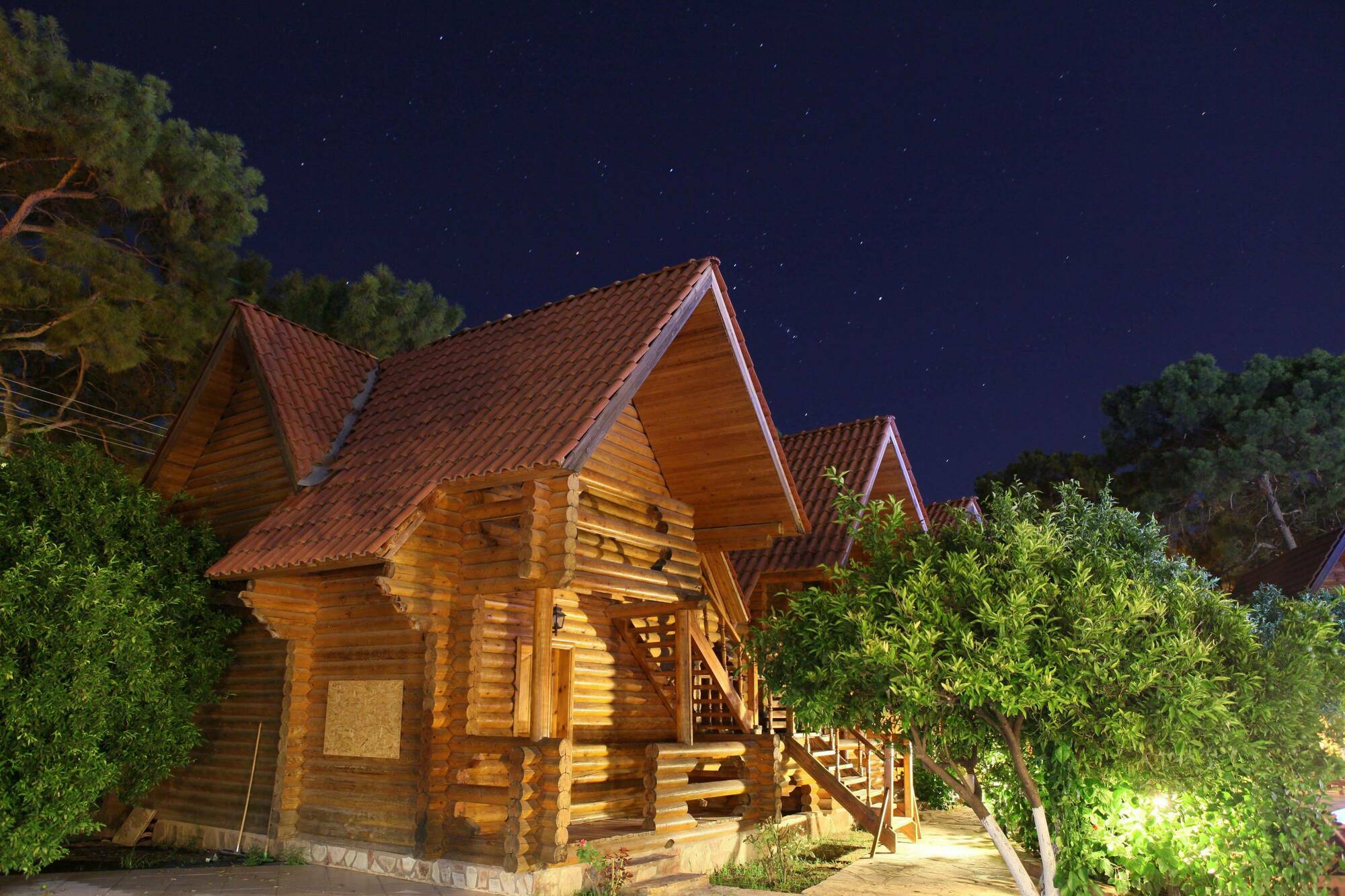 Woodline 3*