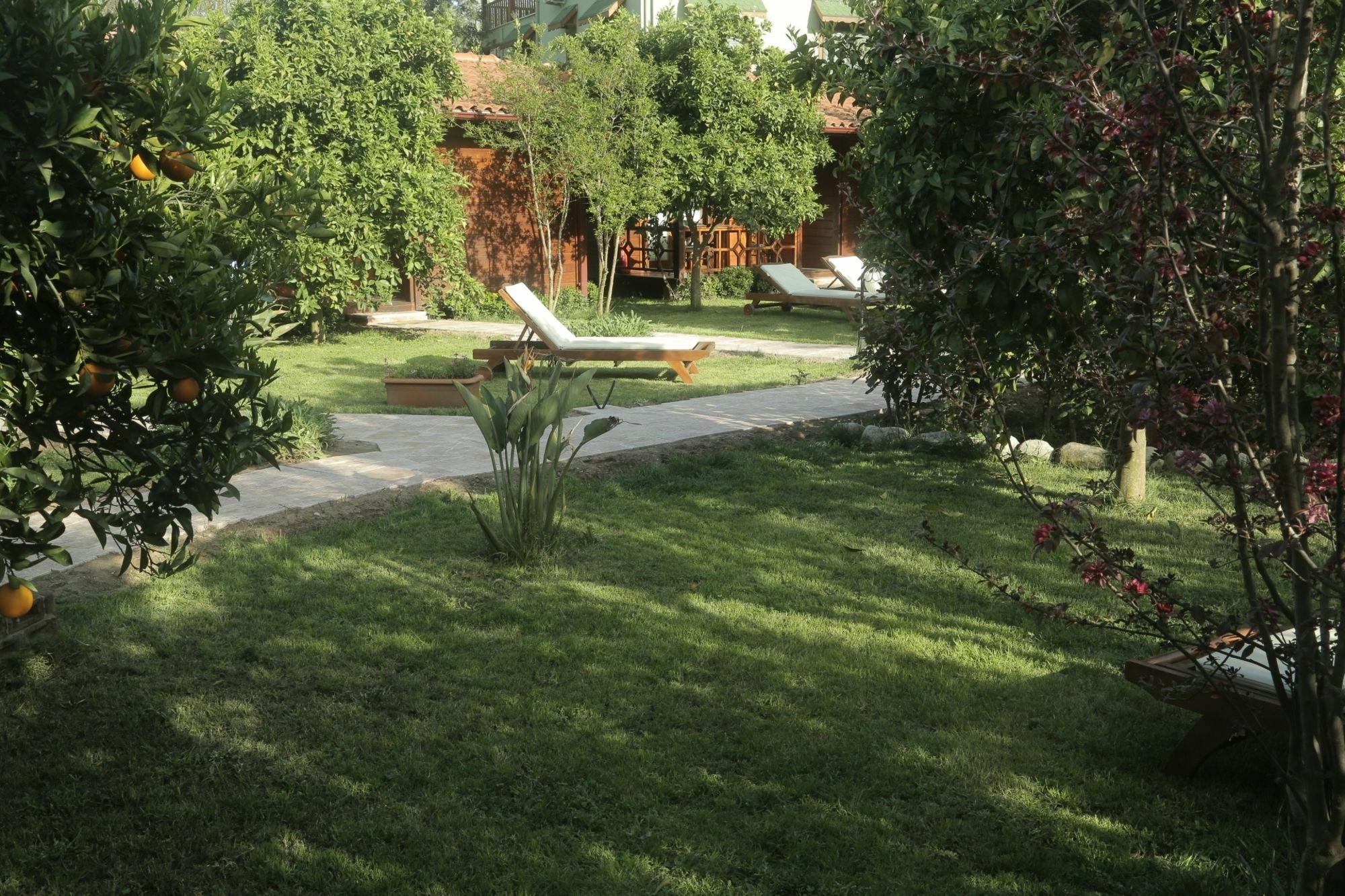 Aida Hotel 2*
