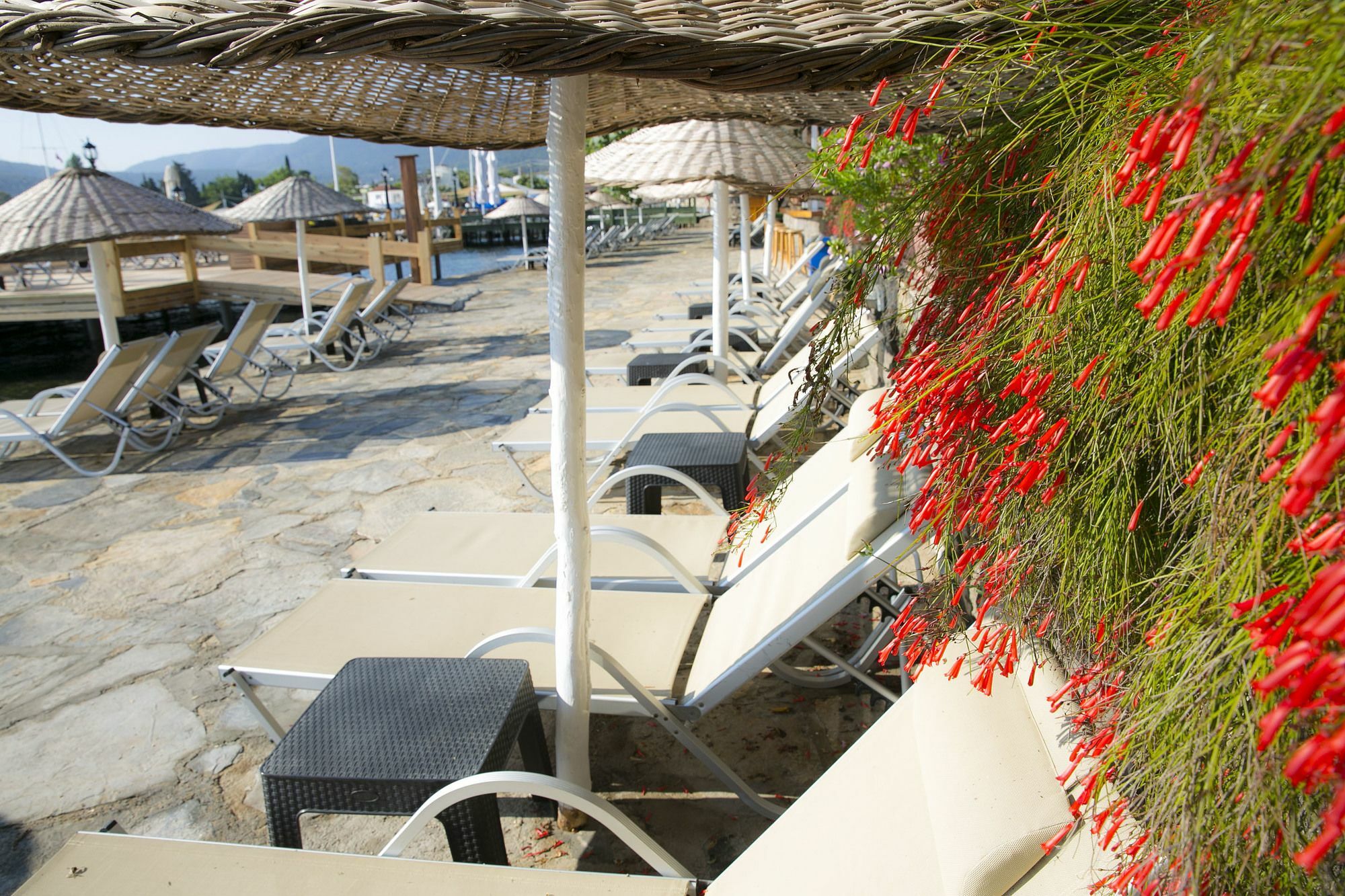Hotel Karianda Golturkbuku
