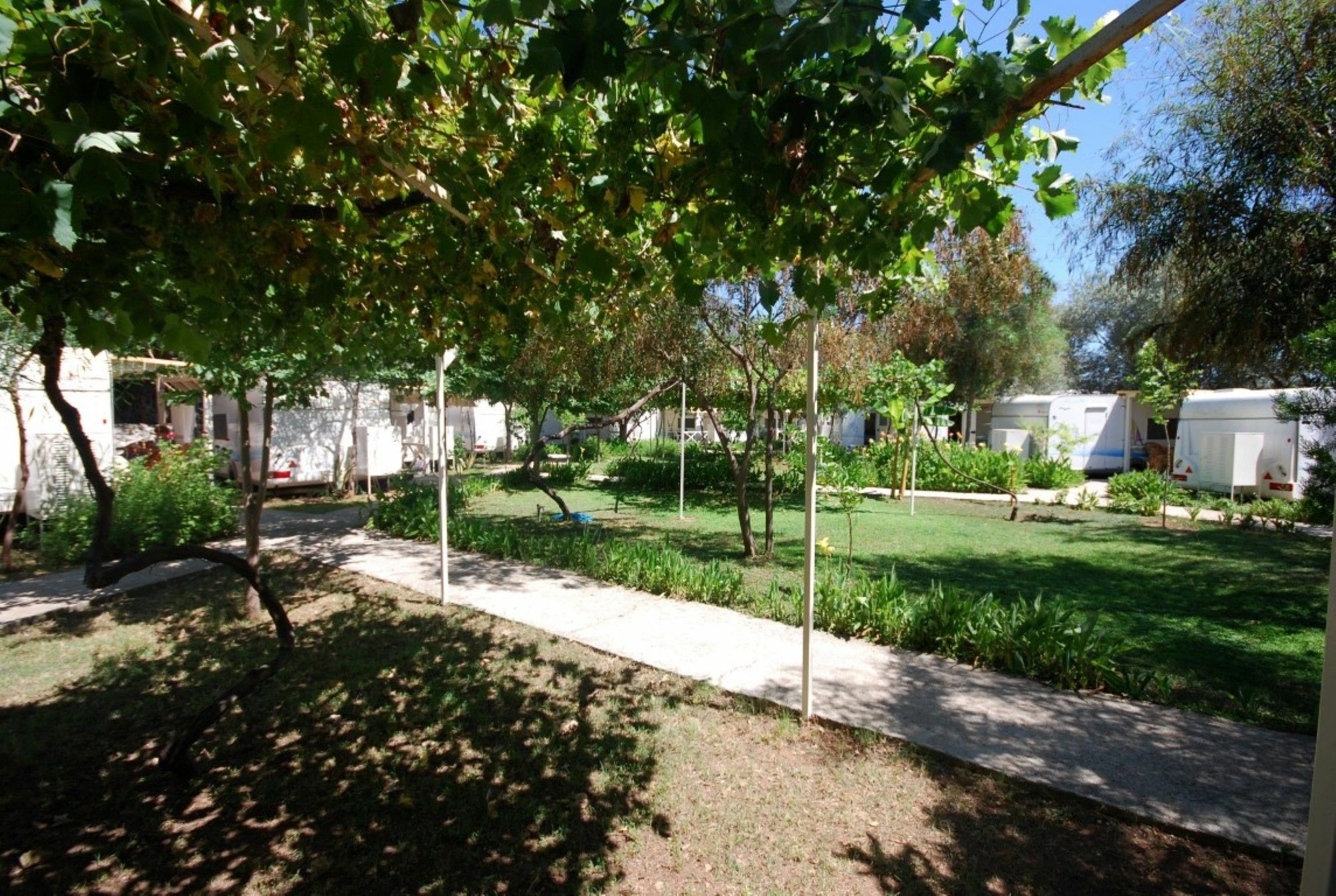 S3 Seahorse Club Hotel 3*
