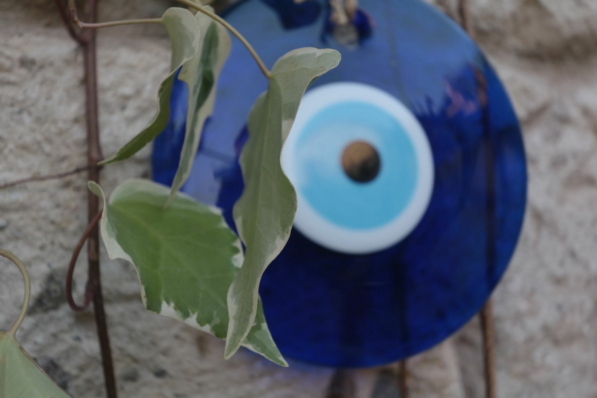 Cona Butik