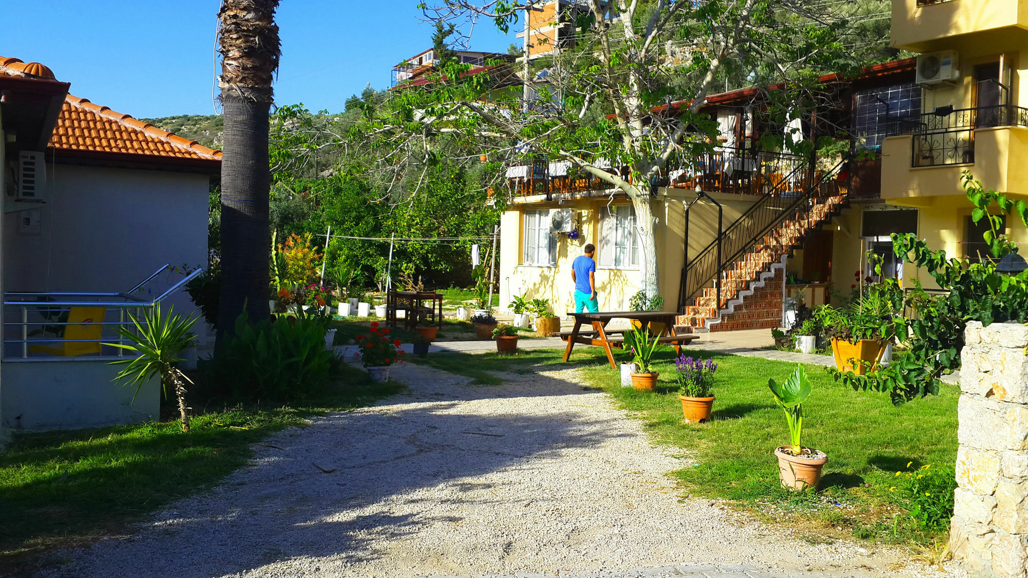 Bed & Breakfast Flower 2*