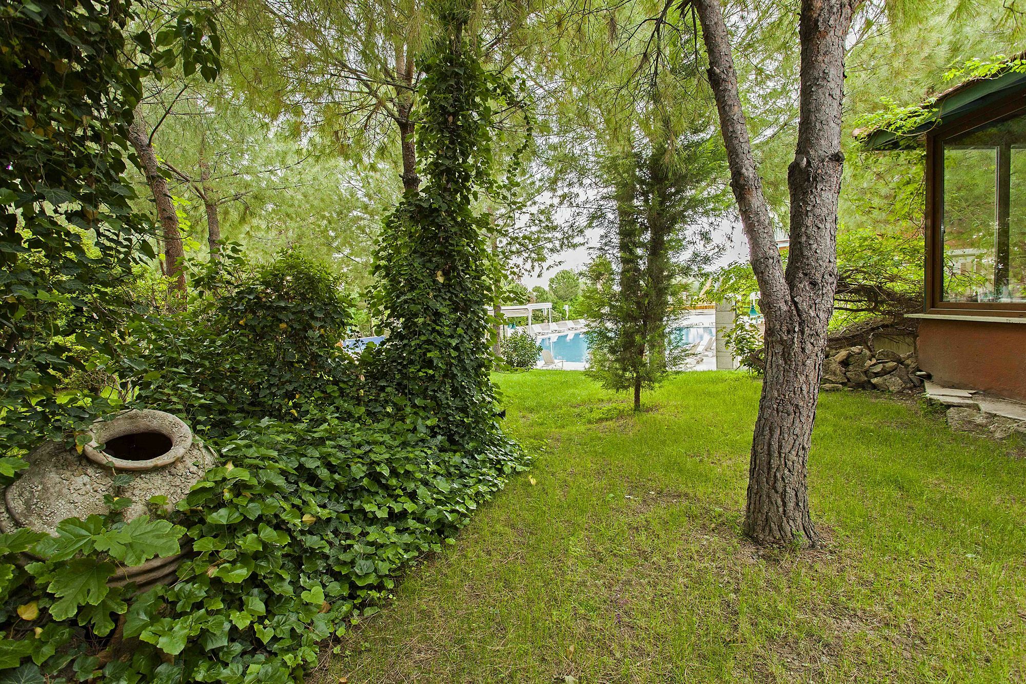 Polat Thermal 5*