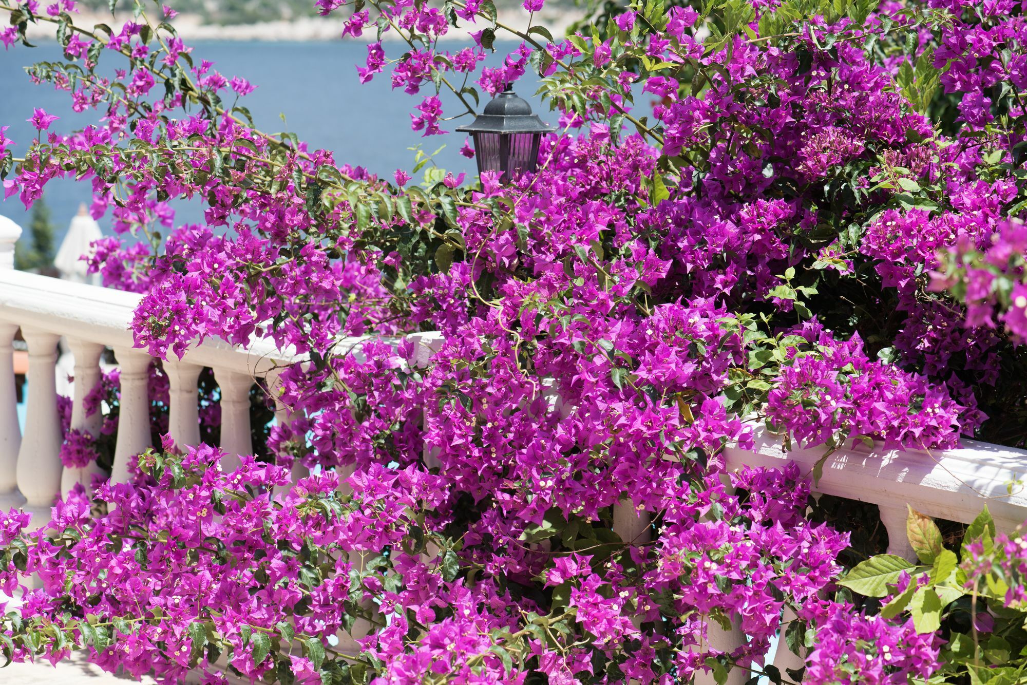 Club Barbarossa Hotel Kas