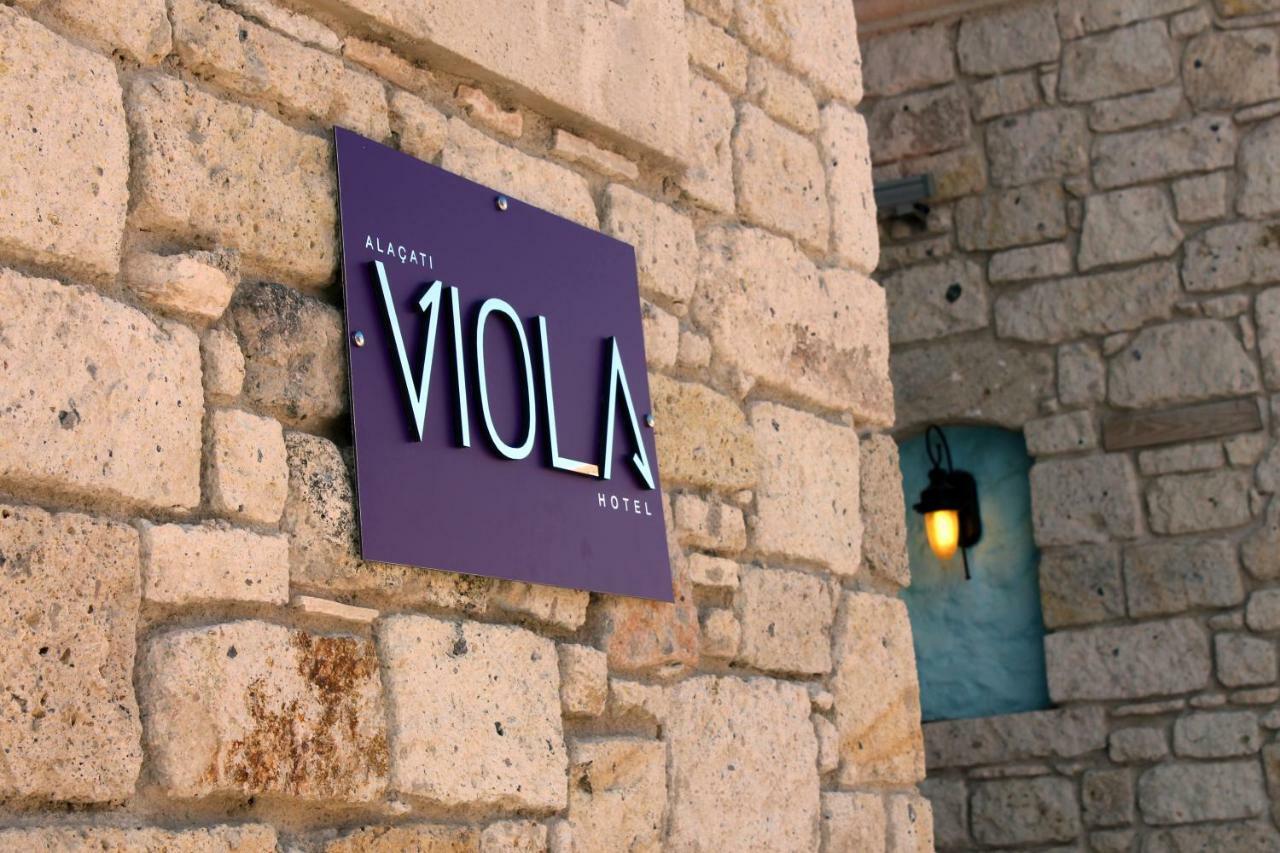 Viola (adults Only)
