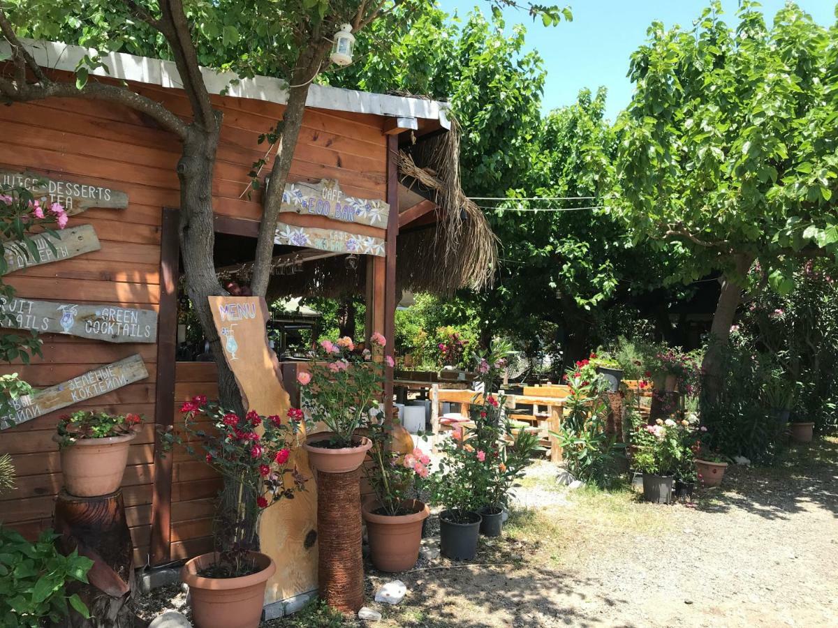 Blue Paradise Guest house