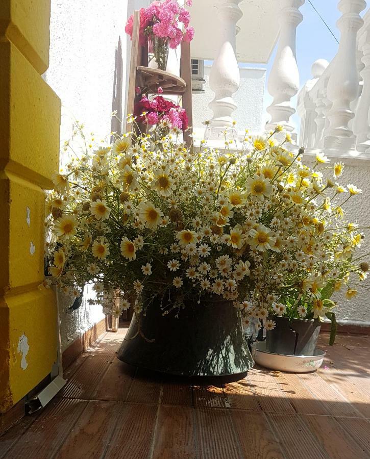 Limon Bed & Breakfast Foca