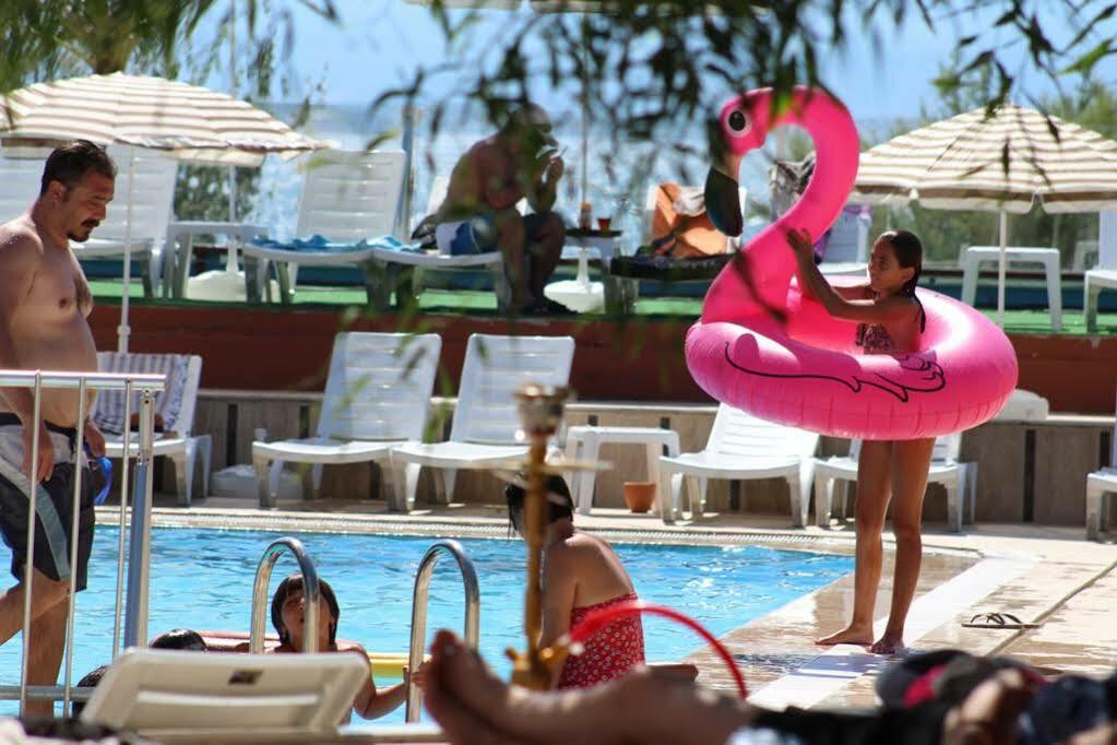 Hotel Wa Farm & 4*