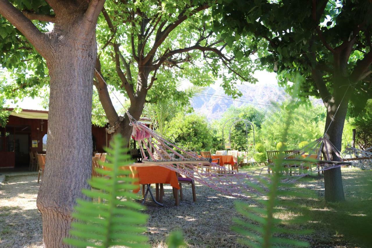 Plaj Guest house 3*
