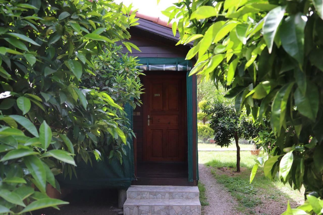 Plaj Guest house Cirali