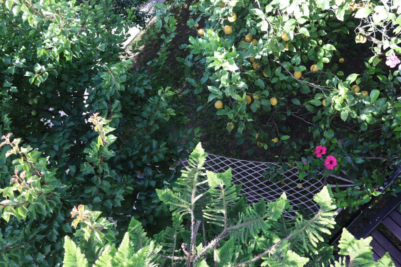 Plaj Guest house