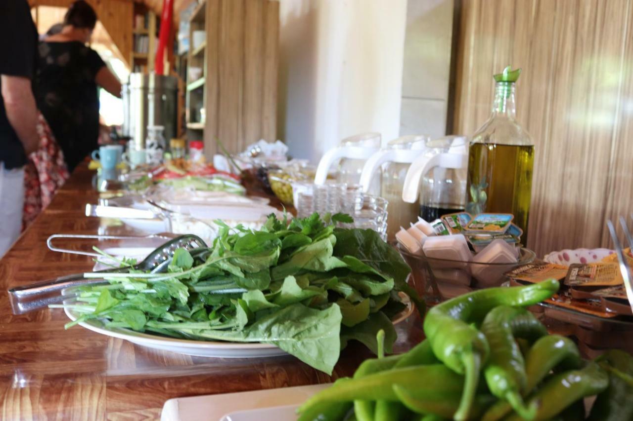 Plaj Guest house