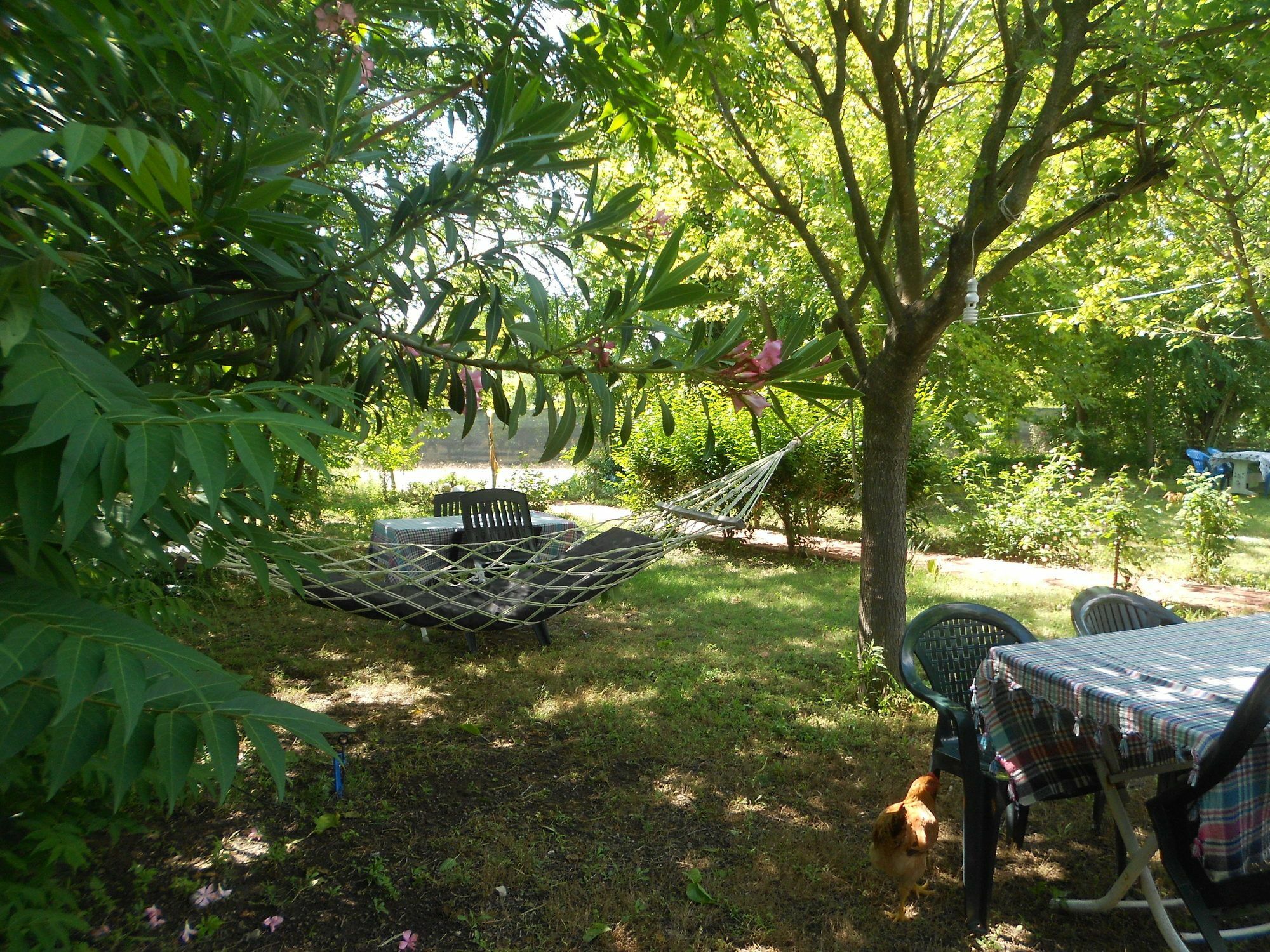 Fire Hotel Cirali