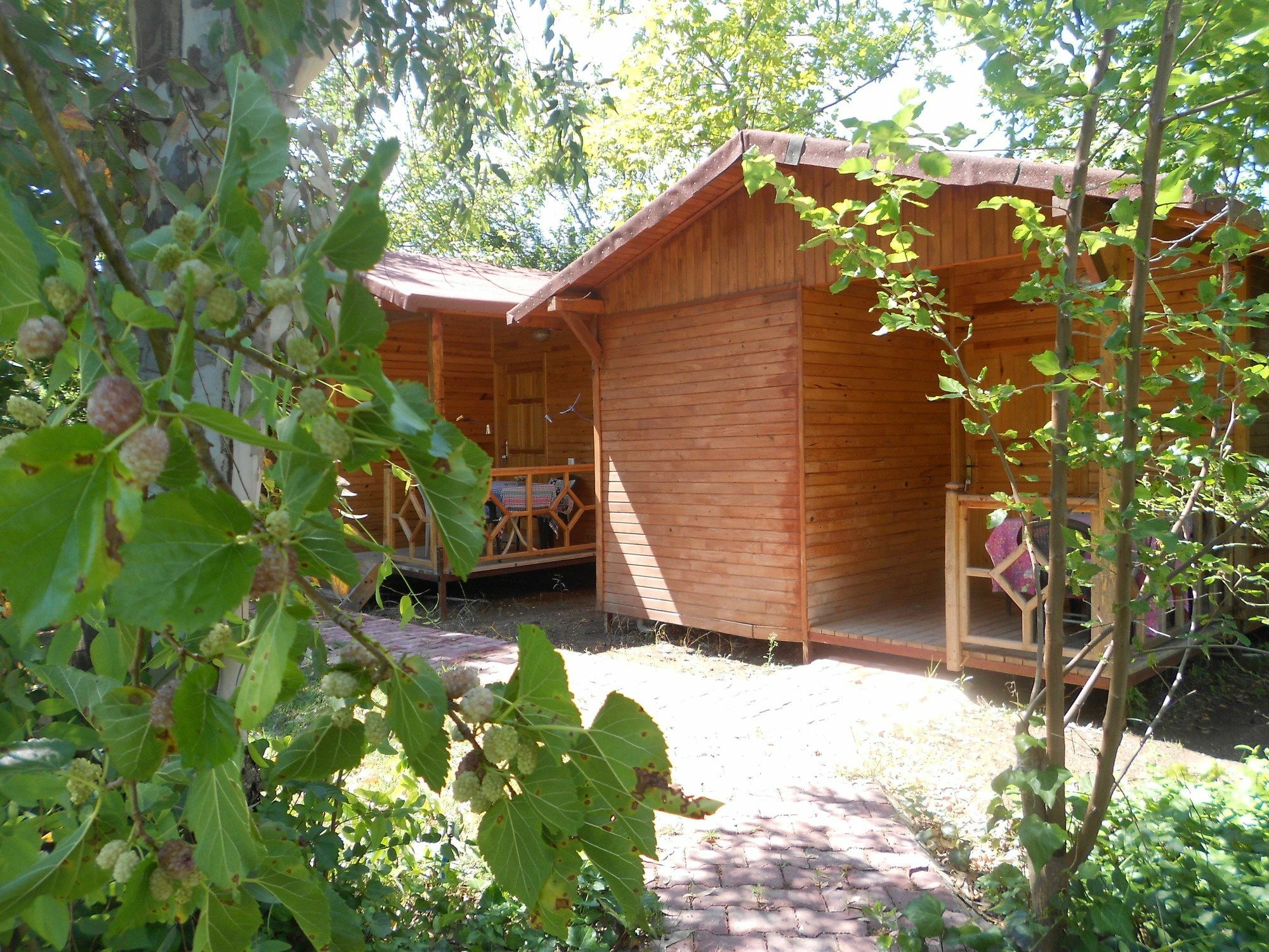 Fire Hotel Cirali
