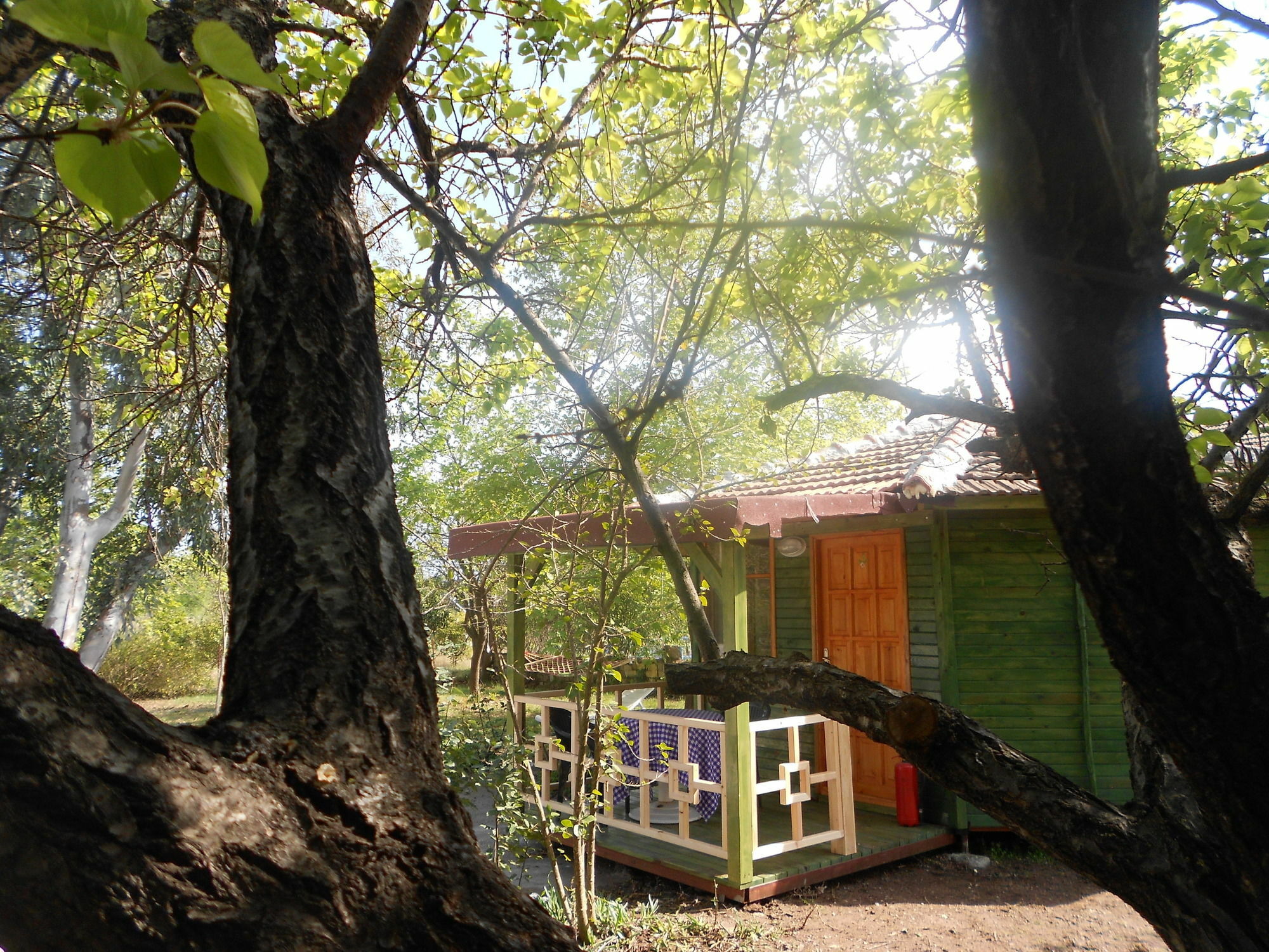 Fire Hotel