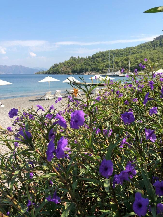Maris Butik Hotel Turunc