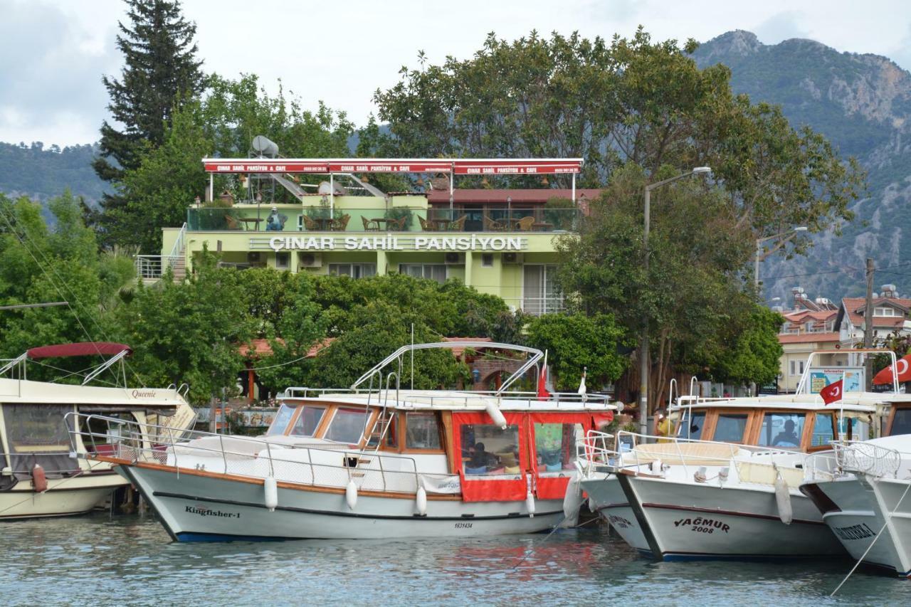 Cinar Sahil Dalyan