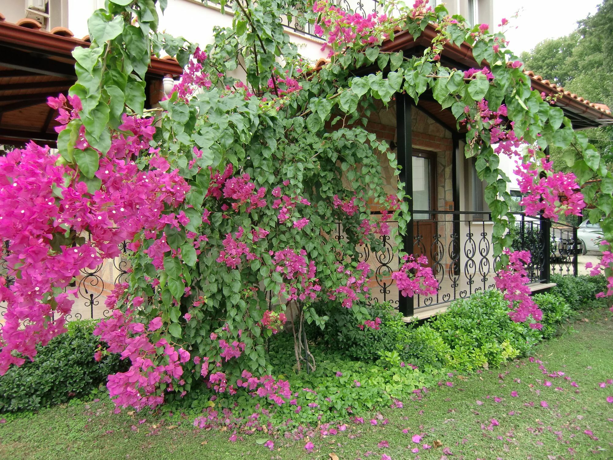 Sedir - Rooms, & 3* Dalyan