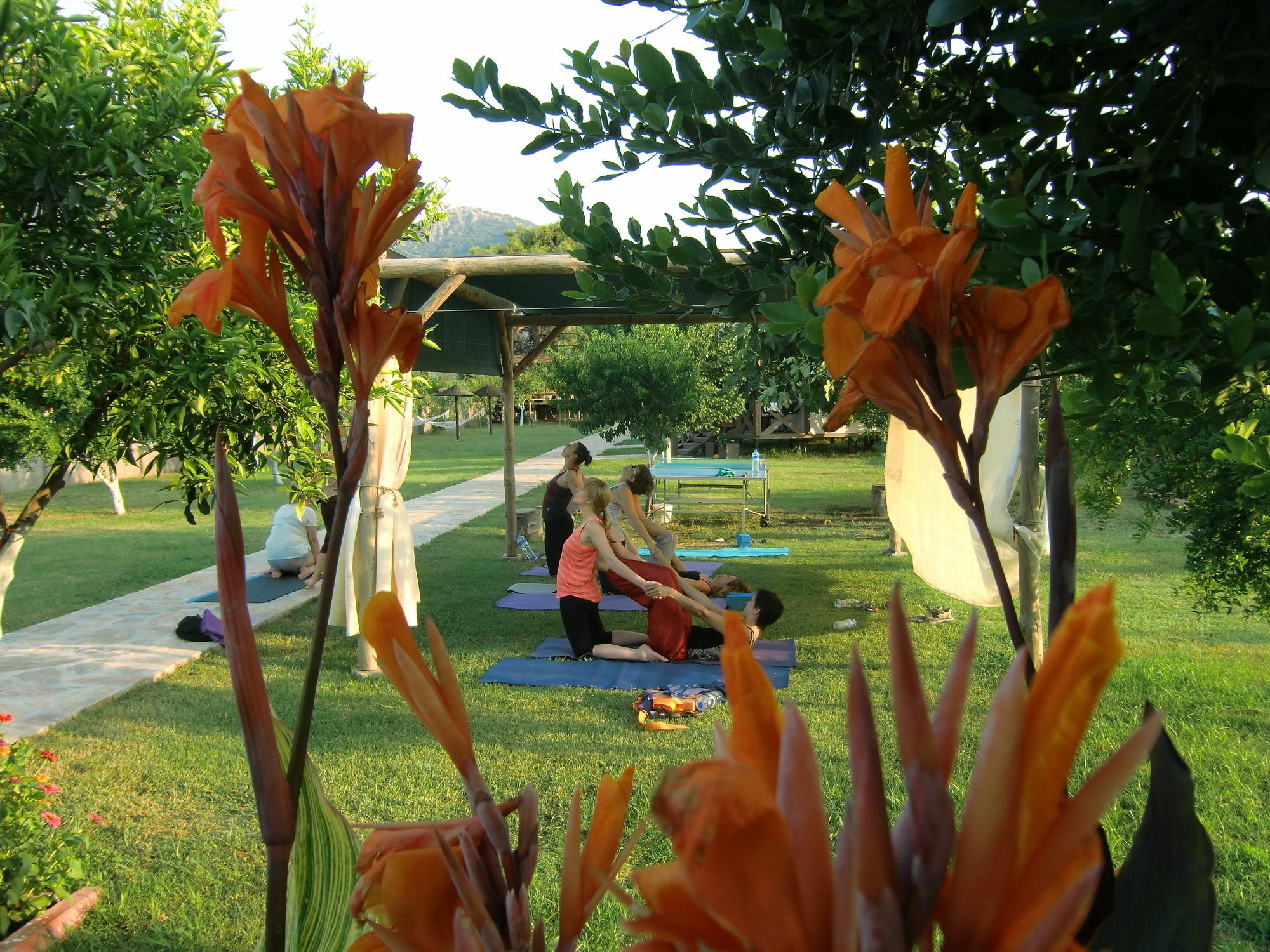 Sedir - Rooms, & 3* Dalyan