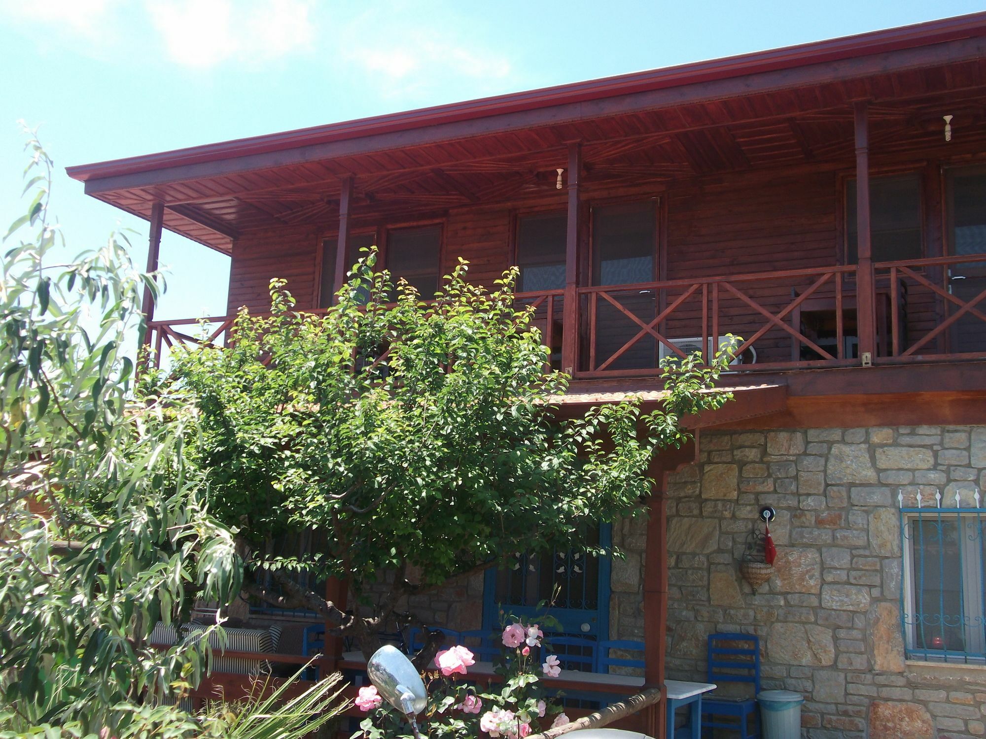 Homestay Halise