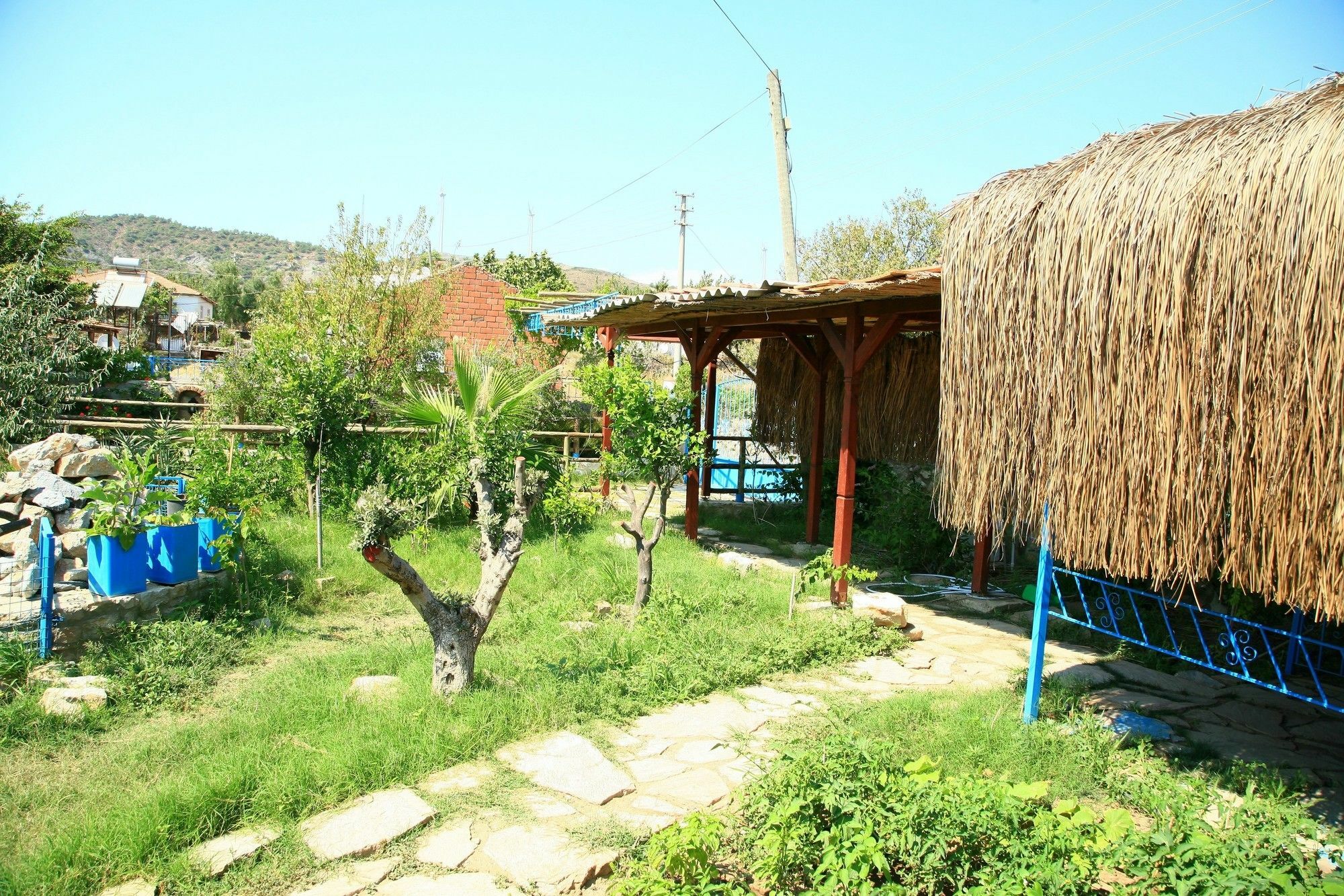 Homestay Halise *