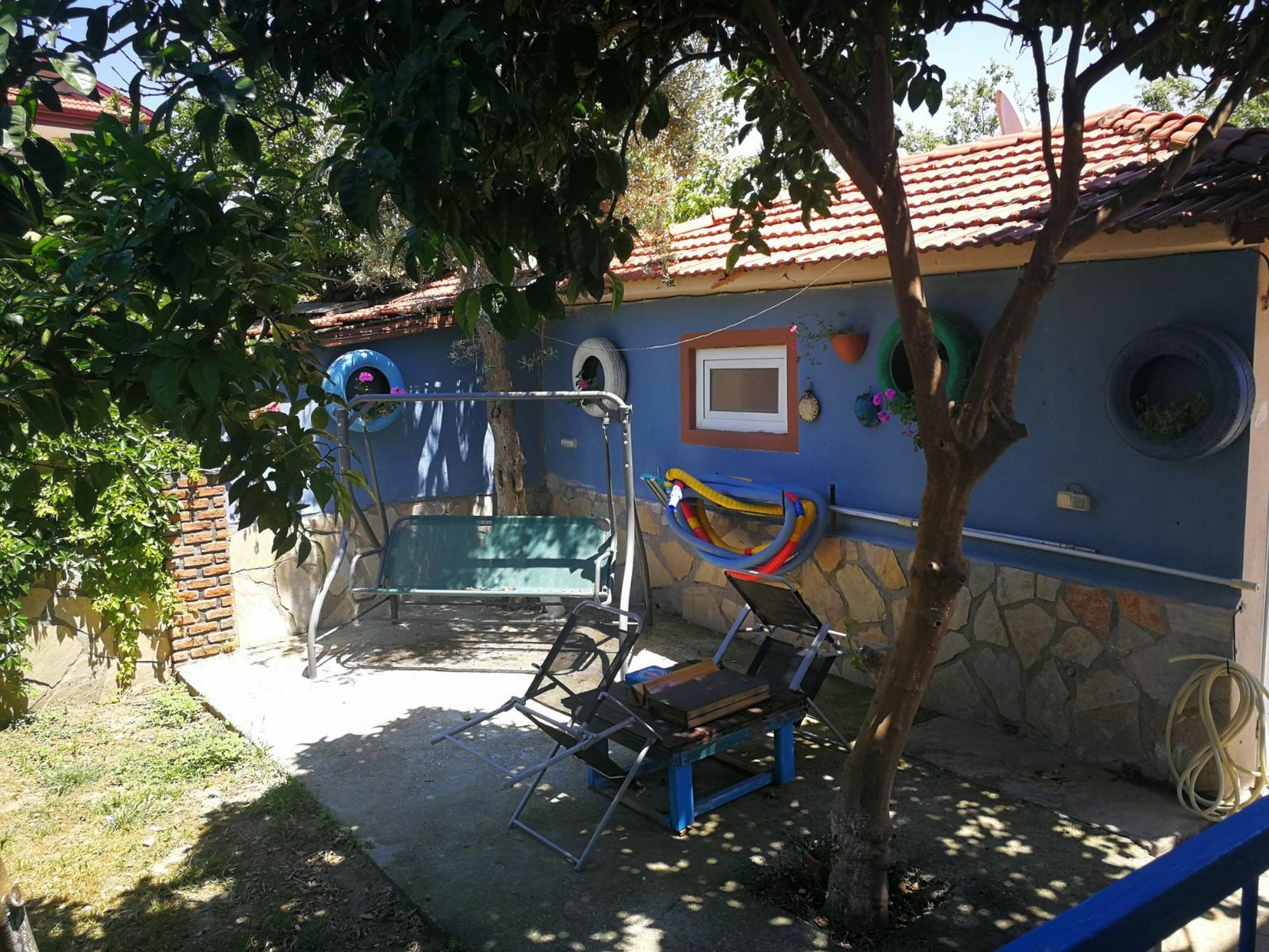 Gala