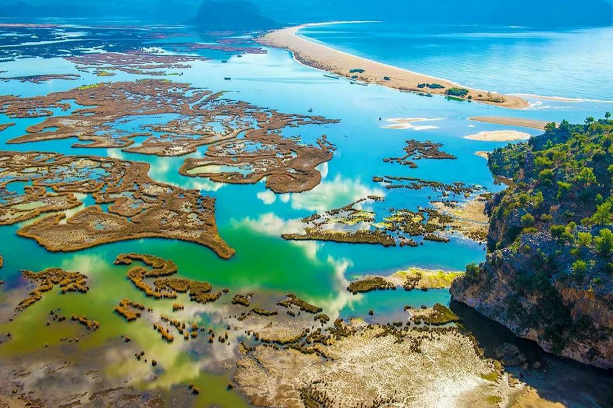 Gala Dalyan
