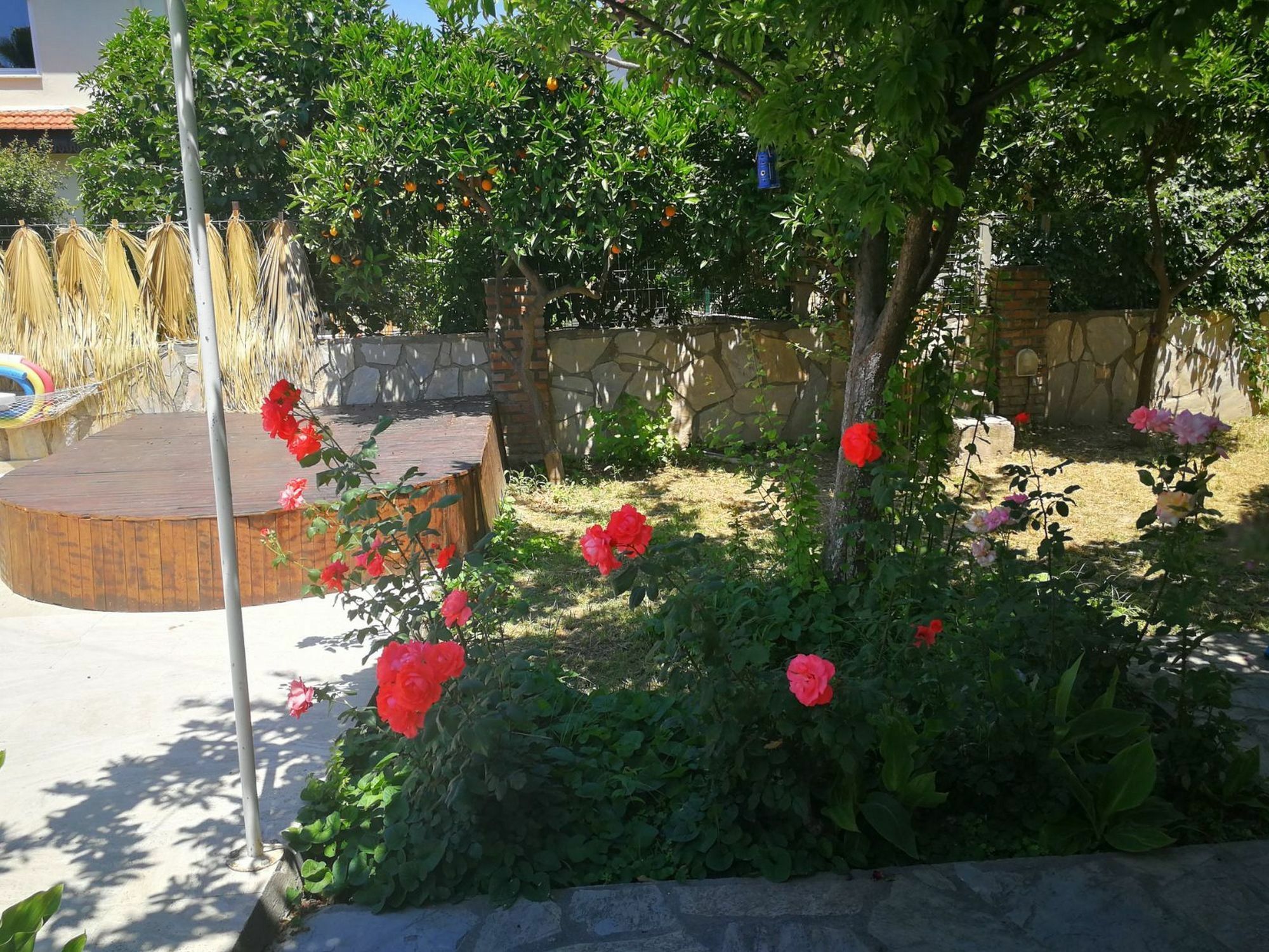 Gala Apartment