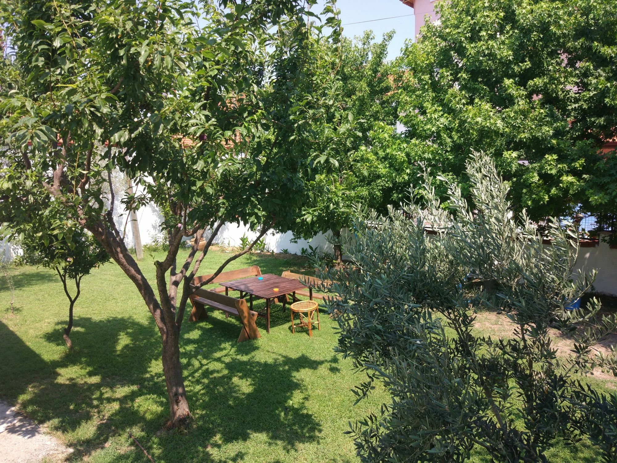 Noda (adults Only) Dalyan