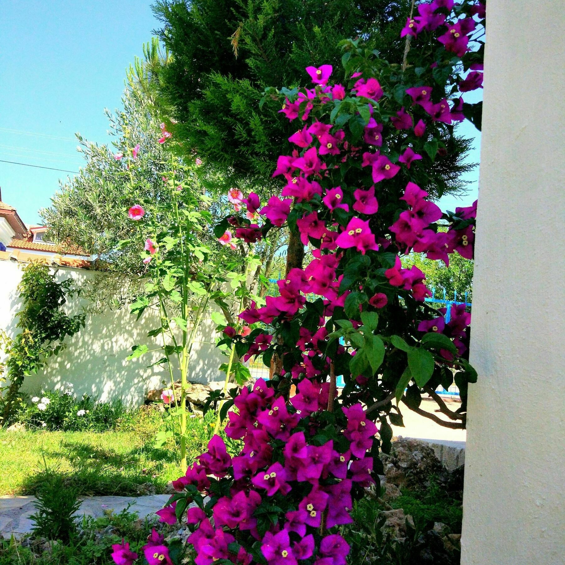 Noda (adults Only) Aparthotel Dalyan