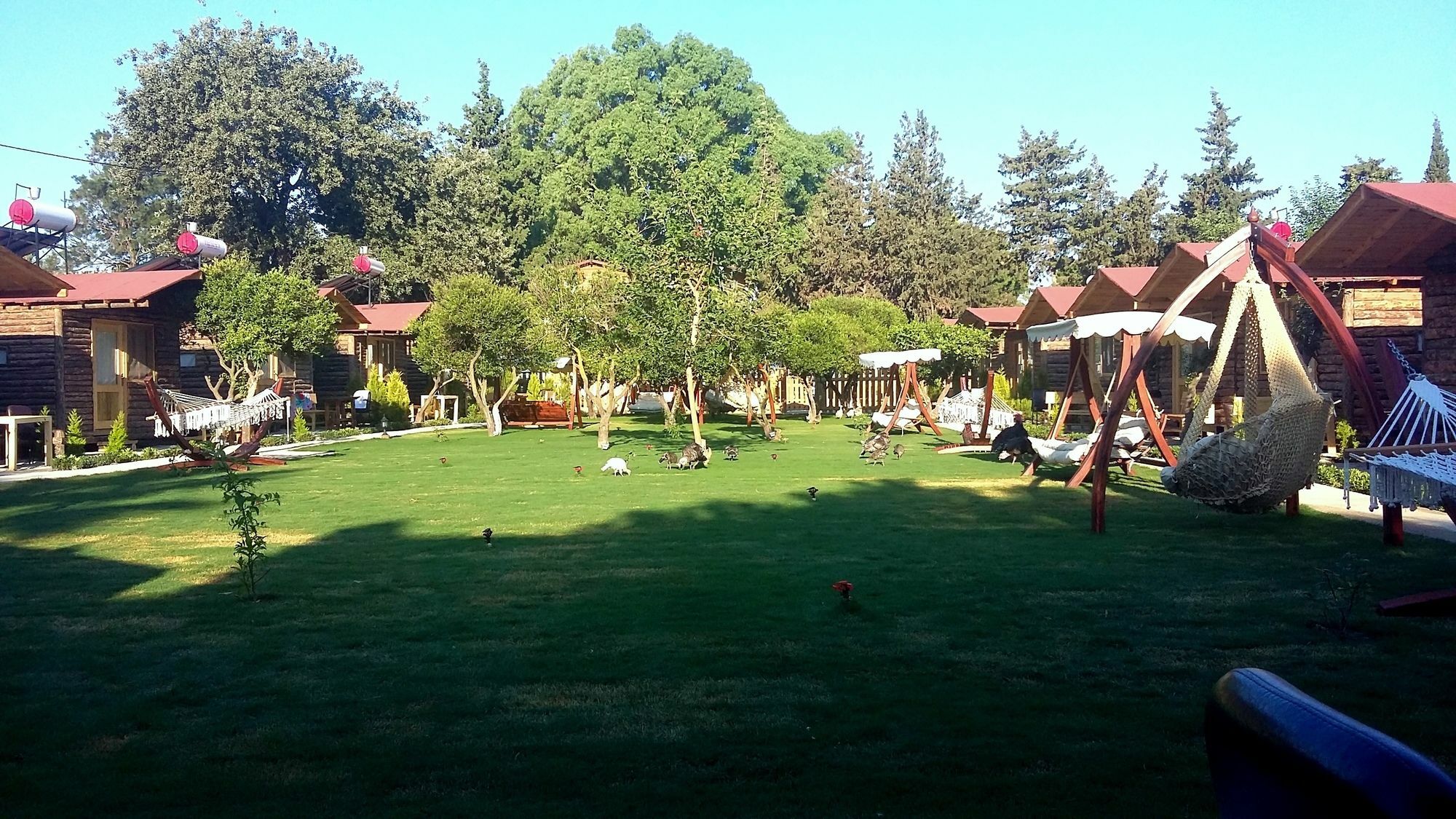 Pitos
