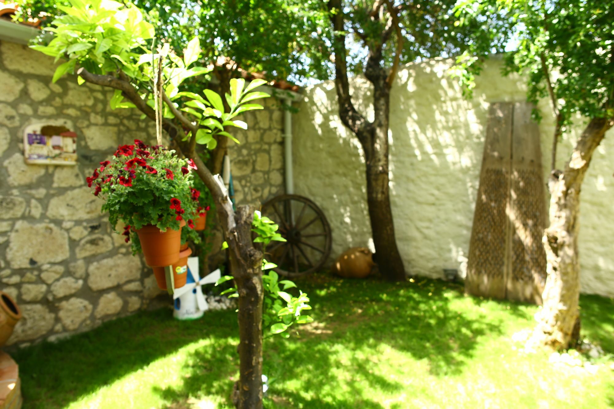 La Mia Casa Homestay *